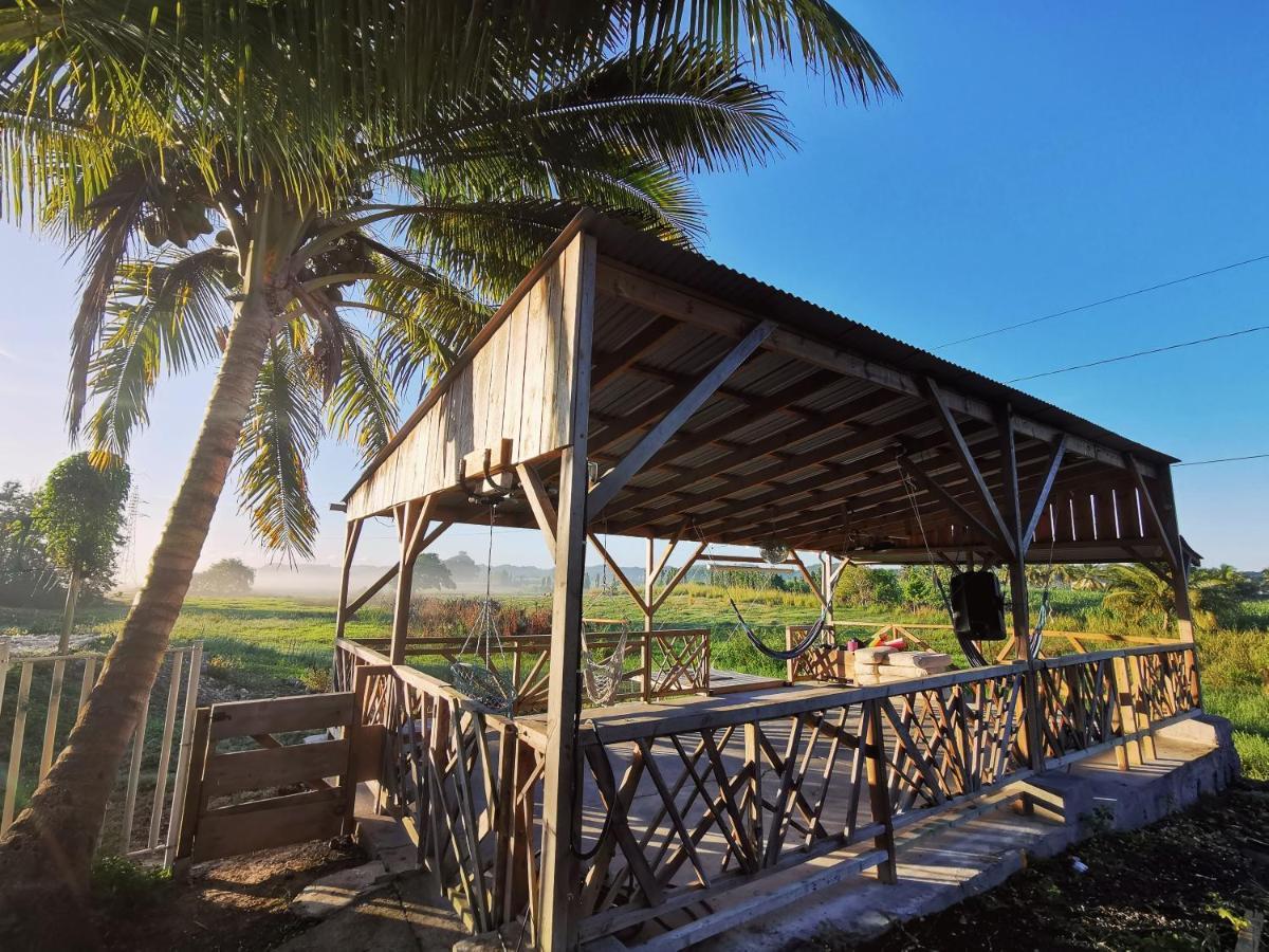 Ride In Youth And Surf Center Morne-a-l'Eau ภายนอก รูปภาพ